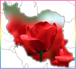 iran map,rose